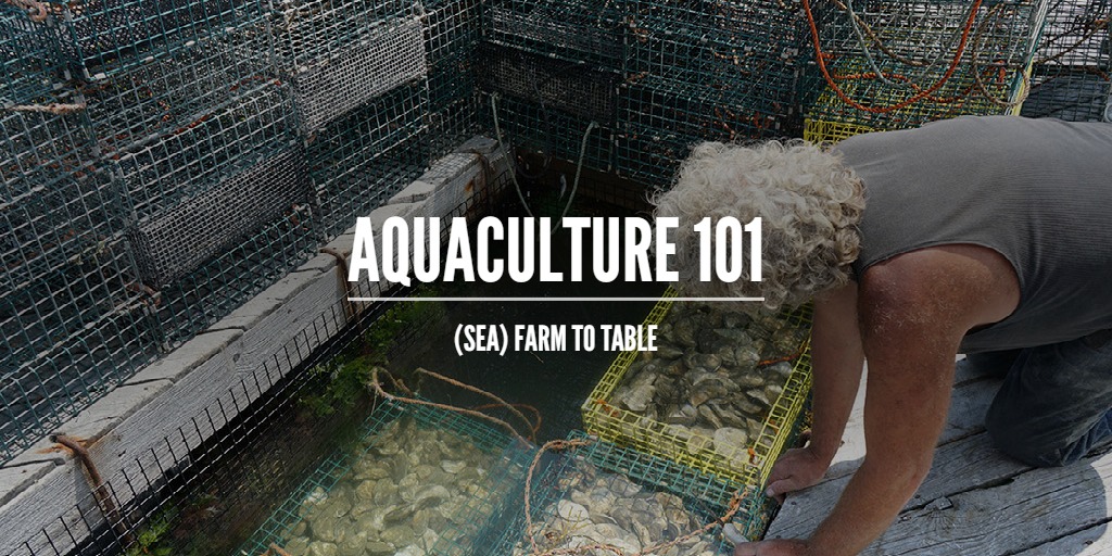 Aquaculture 101